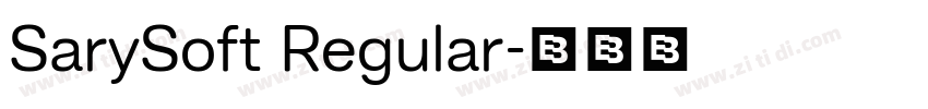 SarySoft Regular字体转换